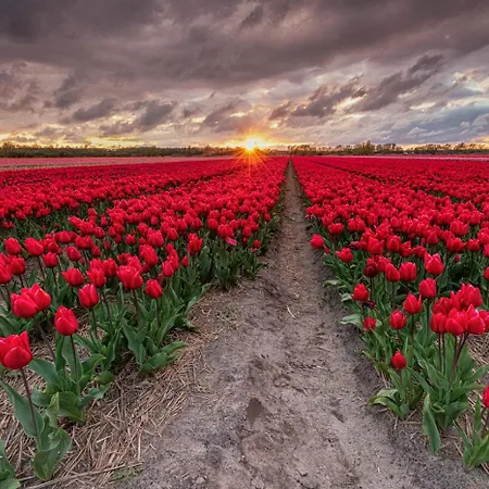 Duinunder In De Duinen, Loopafstand 't *
